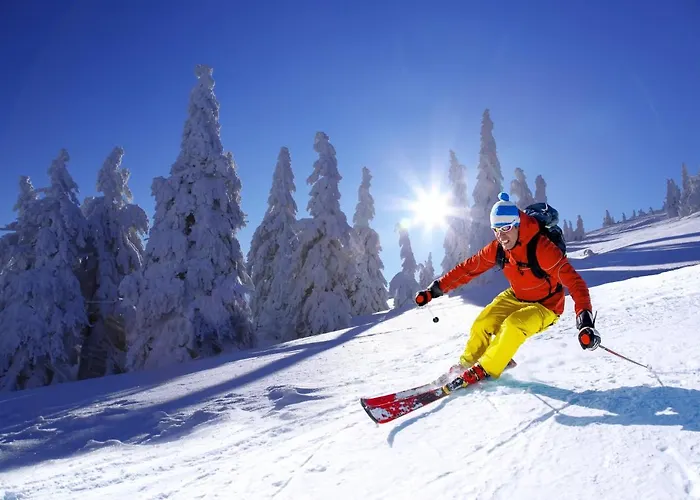Mountain Klinovec Atomic 아파트