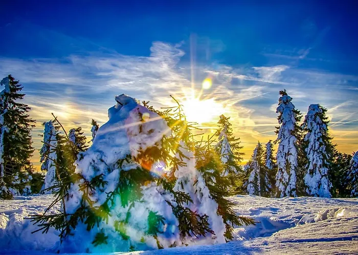 Mountain Klinovec Atomic *